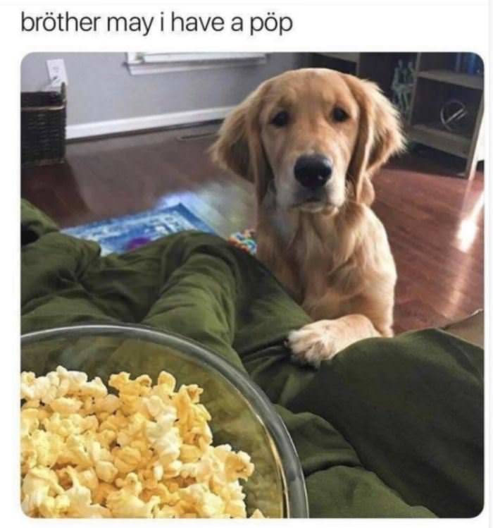 May I Have A Pop
