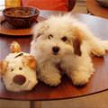 Me And My Toy