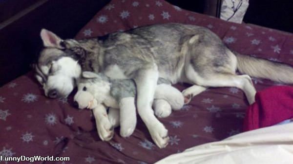 Me With The Stuffed Dog