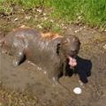 Might Need A Bath