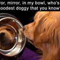 Mirror Mirror