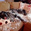 More Comfortable Now