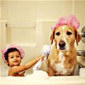 funny dog 4
