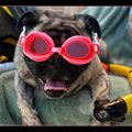 My Cool Glasses