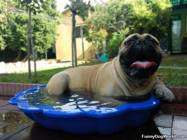 My Cool Off Bath