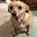 My Derpy Face