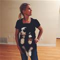 My Dog Carrier