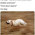 My Dog