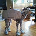 funny dog 2