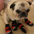 My Feets Were Cold
