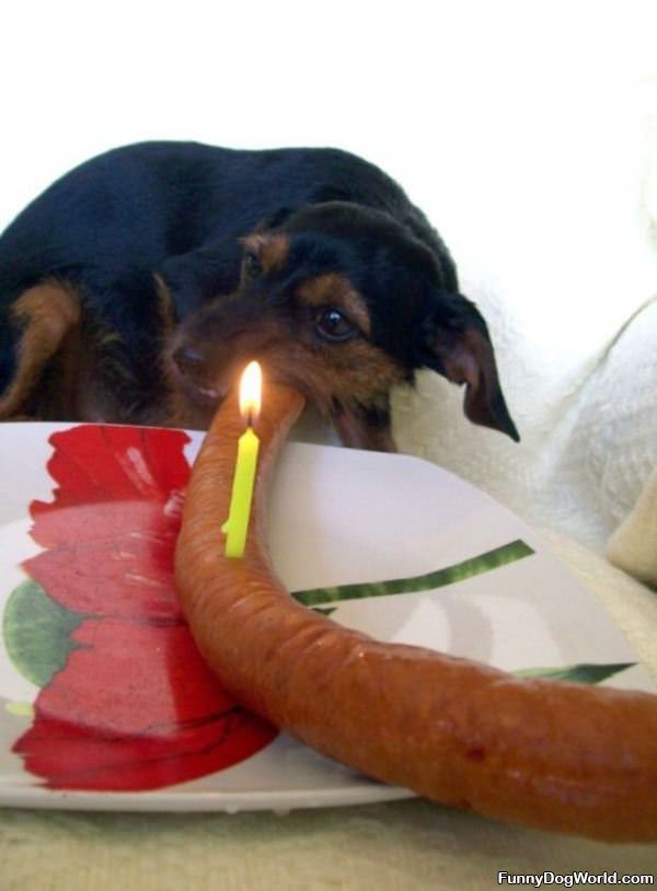 My_Happy_Birthday_Cake My Happy Birthday Cake