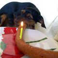 My Happy Birthday Cake
