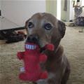 My Happy Toy