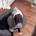 My Hoodie