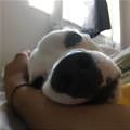 My Nap Spot
