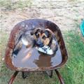 My New Bath Tub