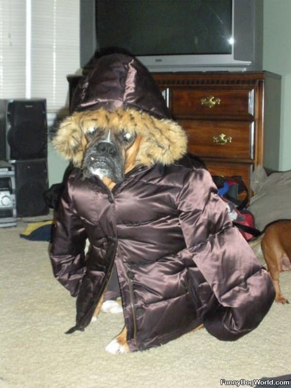 My New Coat