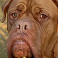 My Sad Face