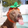 My Tongue Out