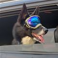 Need My Eye Protection