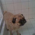 Needed A Shower