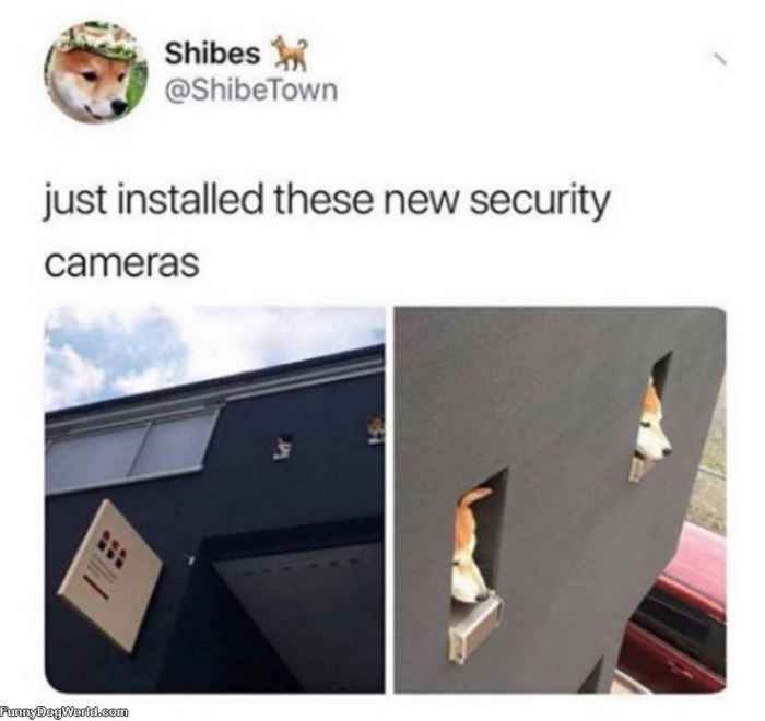 New Security Cameras