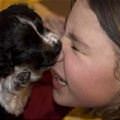 funny dog 2