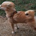 Nice And Windy