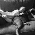 Nice Pillow