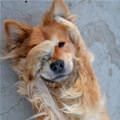 No No Cant See Me