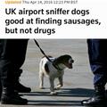 Not Great Drug Dogs