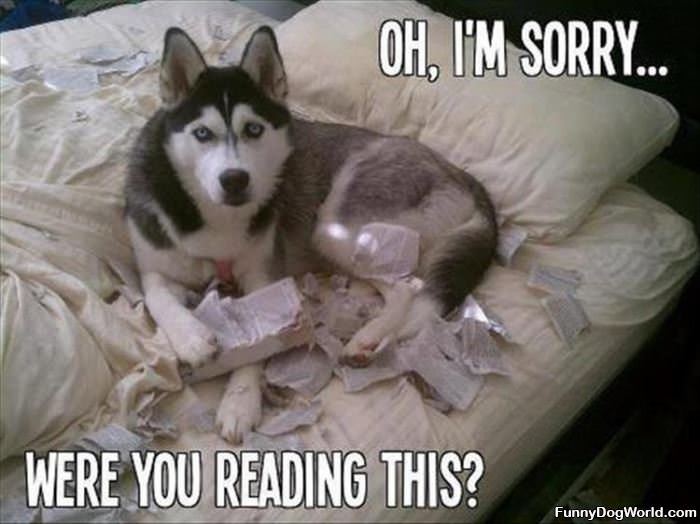 Oh I Am Sorry Were You Reading This