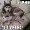 Oh I Am Sorry