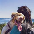 funny dog 3