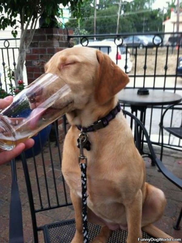 Ok_Just_A_Sip Ok Just A Sip