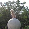 On The Ball