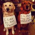 One Is Good One Is Bad