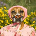 Oooo A Butterfly