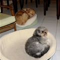 Our Own Beds