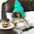 Pancake Day