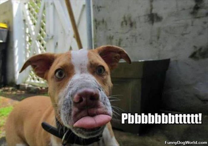 Pbbbbbbbbbbtttttttt Pbbbbbbbbbbtttttttt
