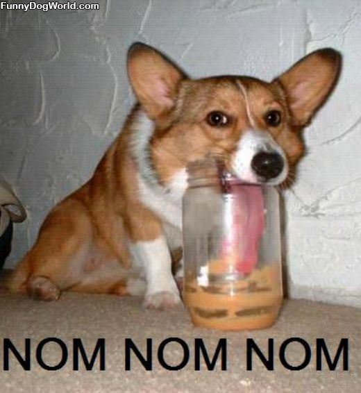 Peanut Butter Nom