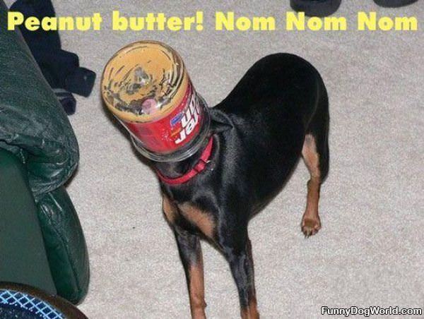 Peanut Butter Omm Nom