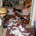funny dog 3