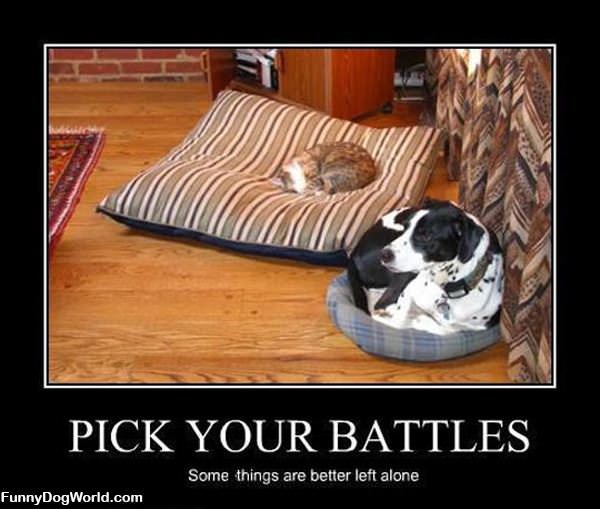 Pick Your Battles