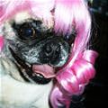 Pink Wig