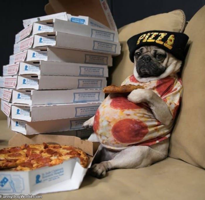 Pizza And Chill