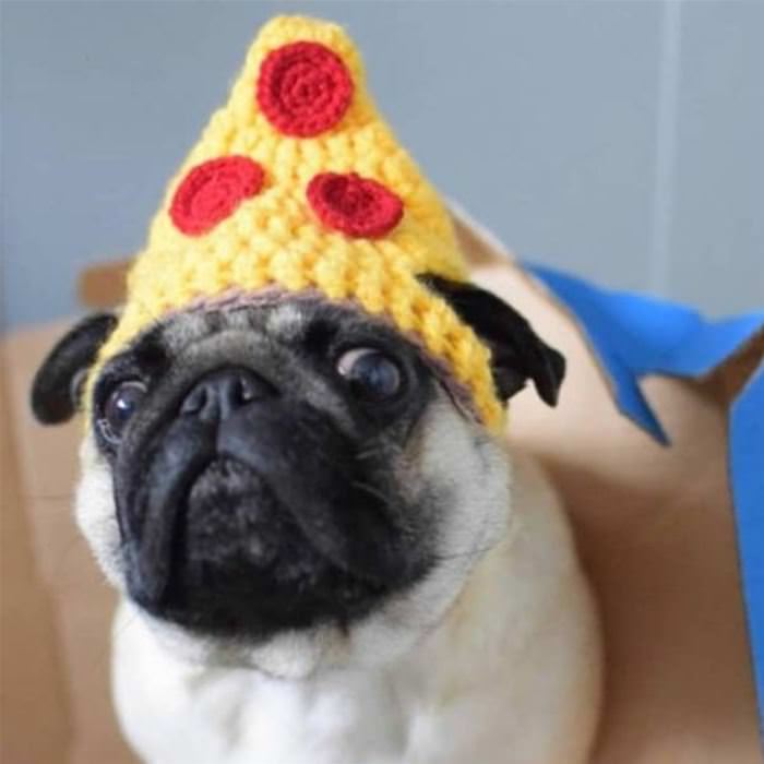 Pizza Hat