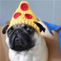 Pizza Hat