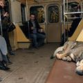 Place For A Nap